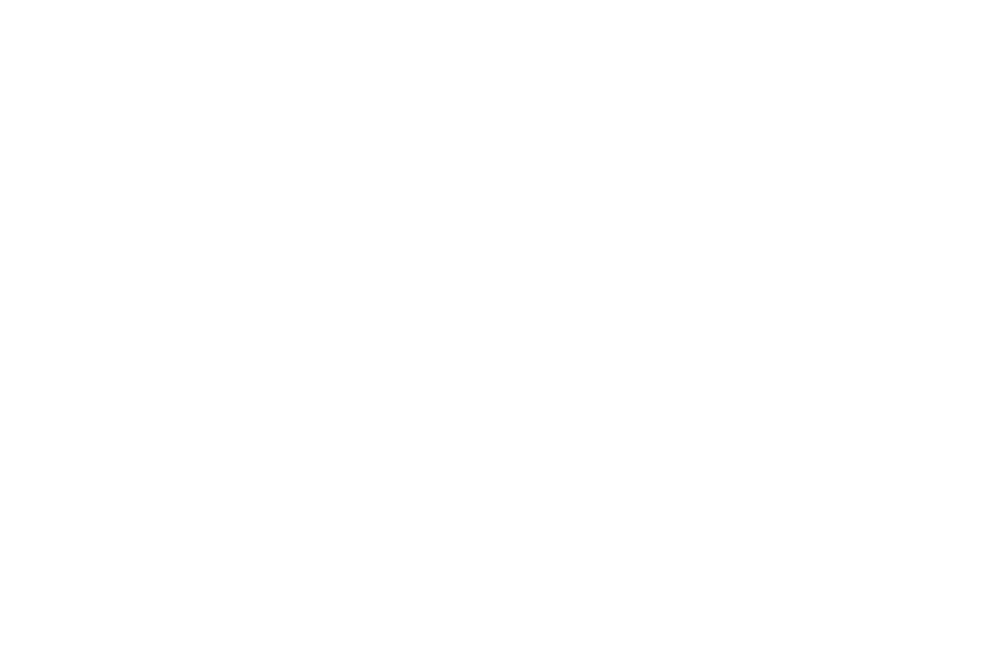Black and White Limousines logo